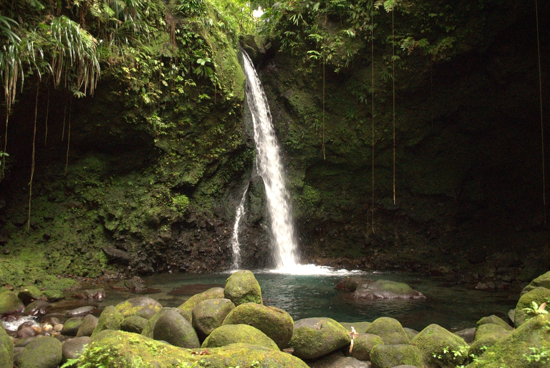 Hibiscus Falls, Dominica
