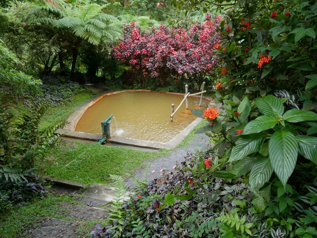 Keeping Well - Pampering Me - Image 4