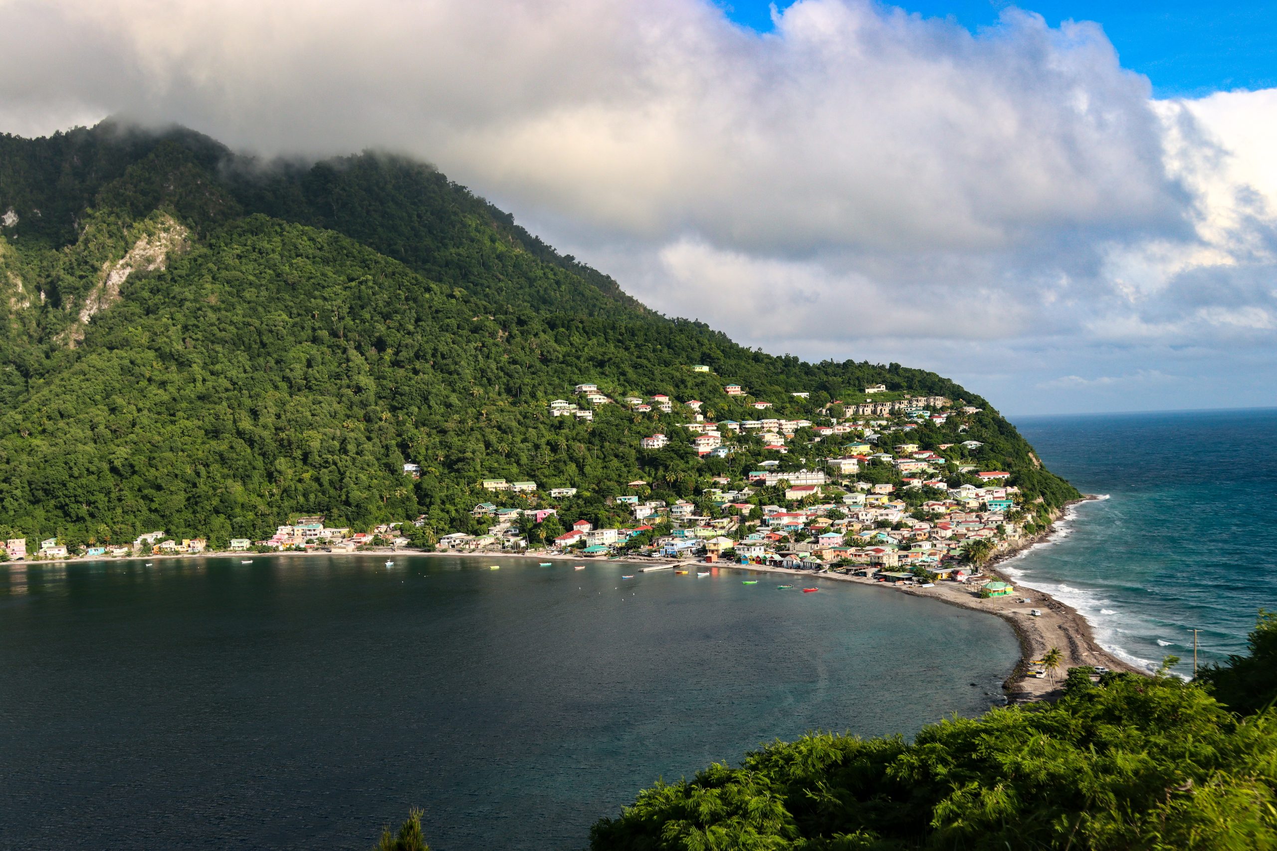 The Scotts Head Bay Volcanic South