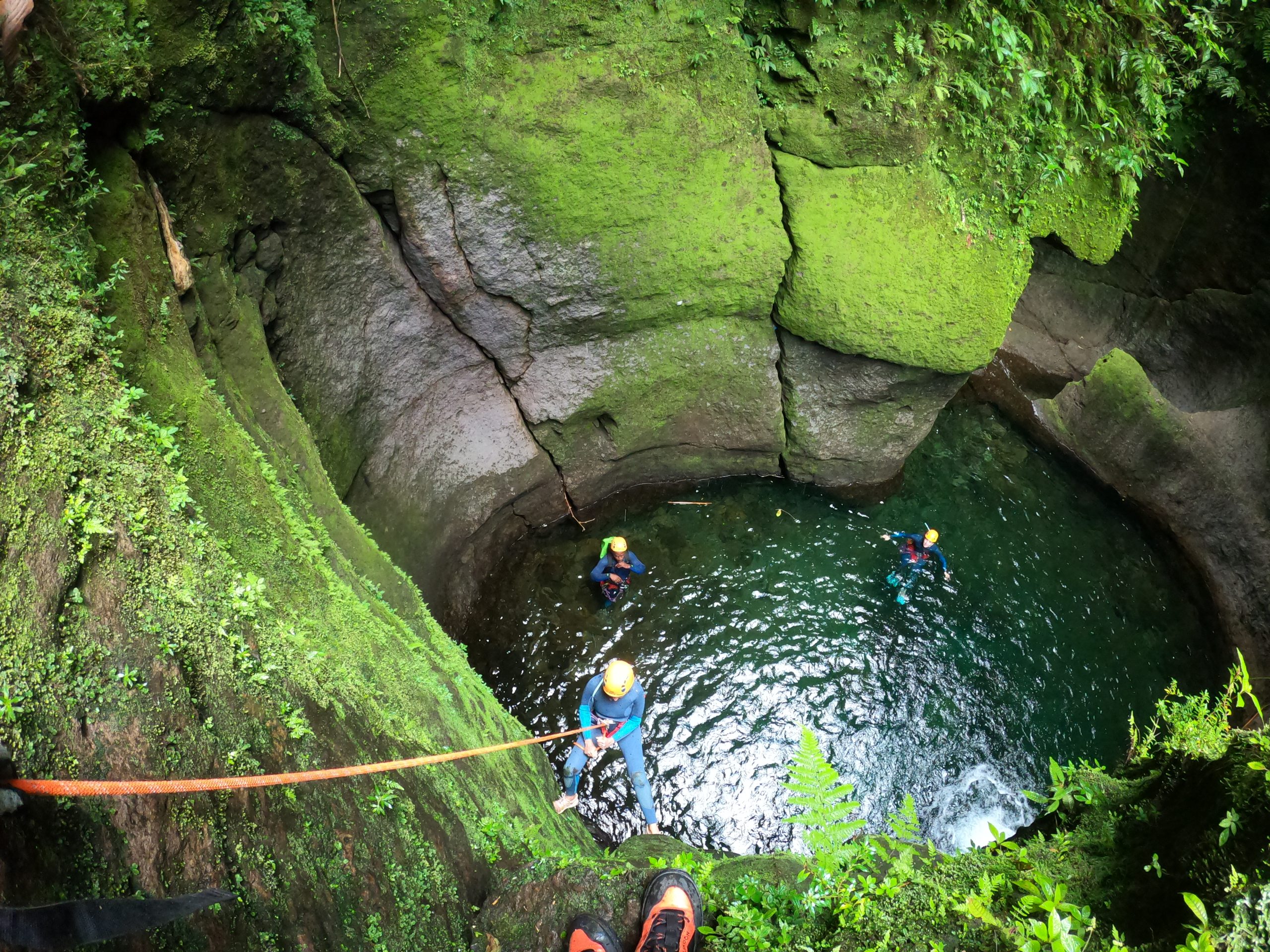 Exploring the Lows of the Nature Isle