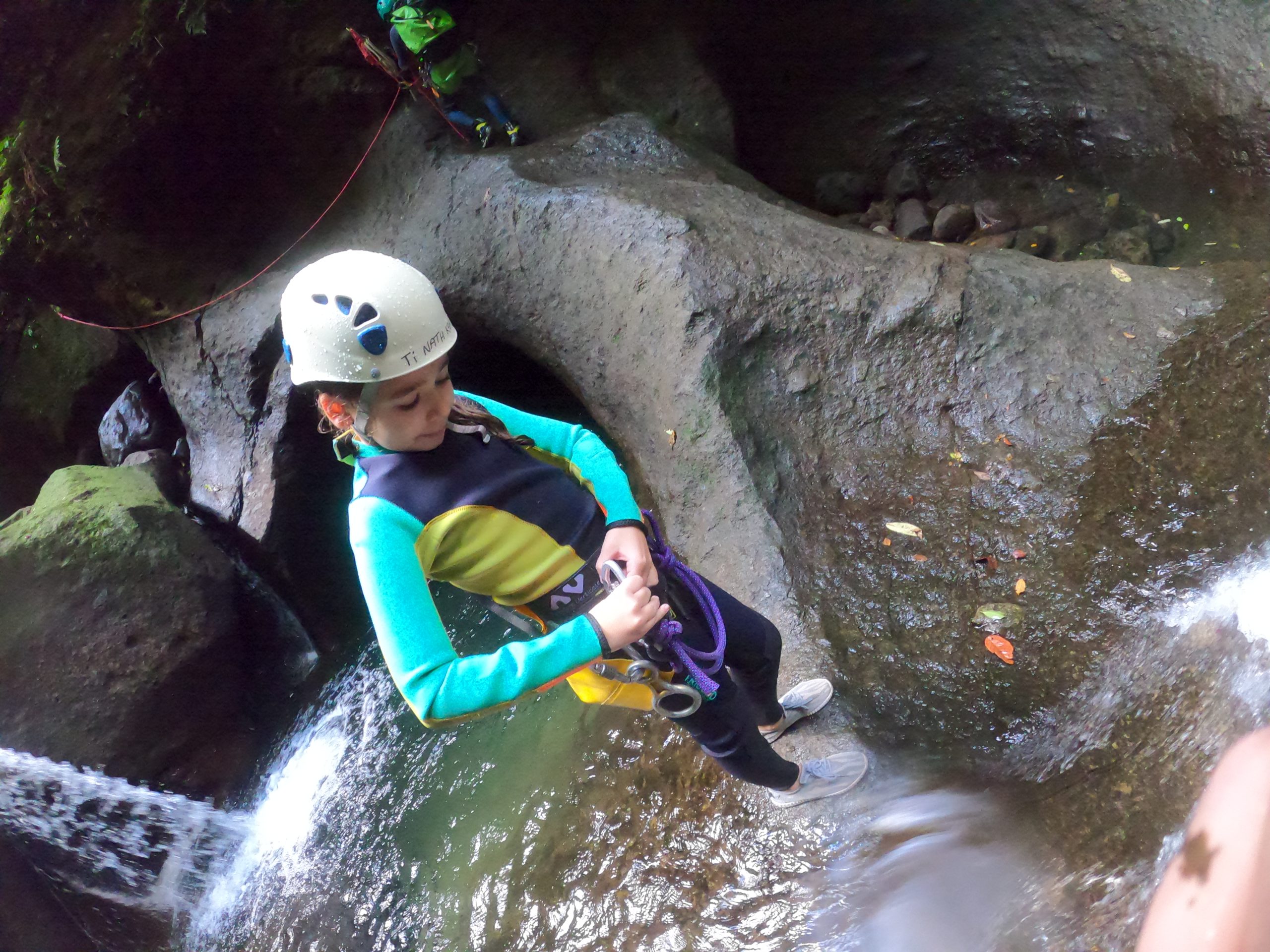 Exploring the Lows of the Nature Isle - Image 2