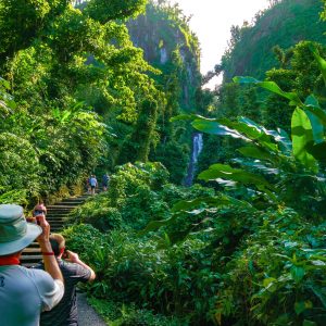 Champagne Reef Snorkel and Trafalgar Falls