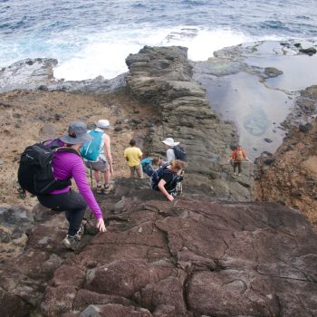 L'ESCALIER TETE CHIEN