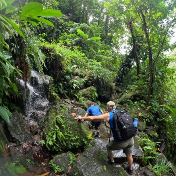 Roseau Valley Miracles